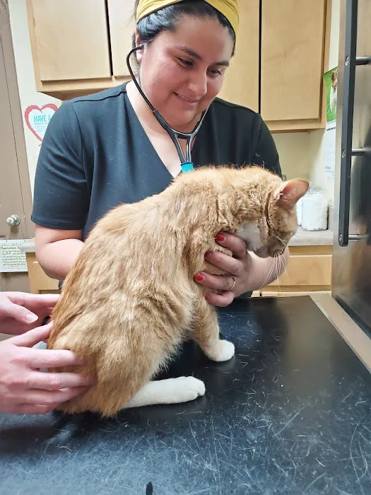 Oak Tree Animal Clinic 1
