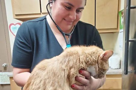 Oak Tree Animal Clinic