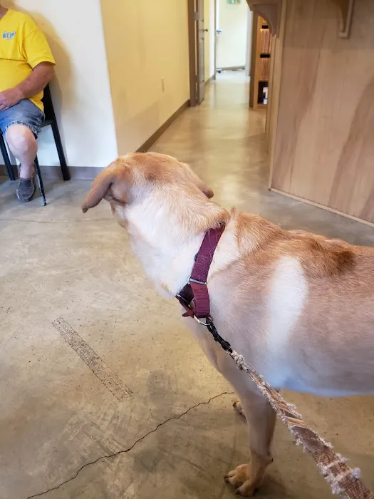 Oak Tree Animal Clinic 2