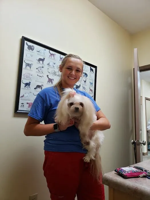 Oak Tree Animal Clinic 5