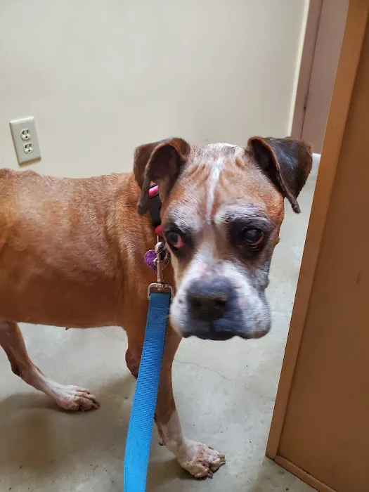 Oak Tree Animal Clinic 10