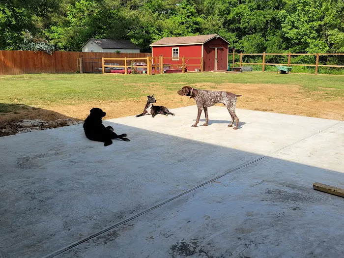 Oak Tree Animal Clinic 8