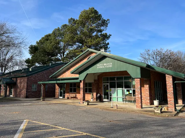 Olive Branch Animal Clinic 12