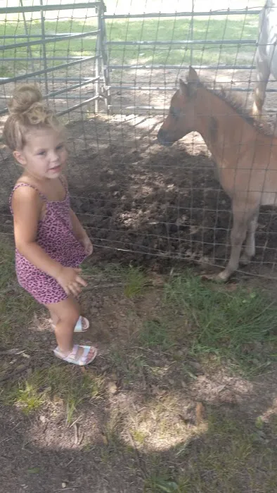 Olive Branch Animal Clinic 12