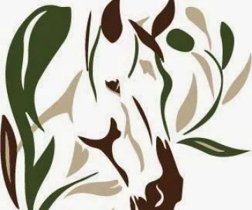 Equine Veterinary Associates of Olive Branch