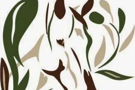 Equine Veterinary Associates of Olive Branch
