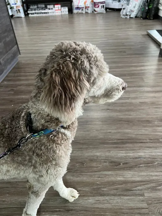 Center Hill Animal Clinic 12