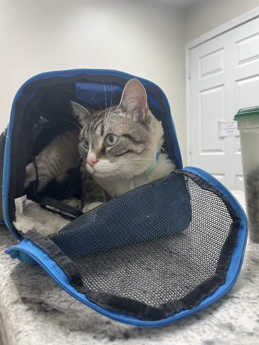 Center Hill Animal Clinic 12