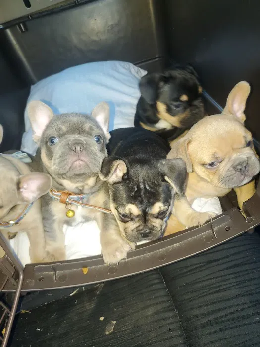 Center Hill Animal Clinic 12