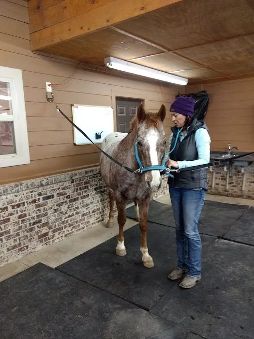 Full Circle Equine Veterinary Services 12