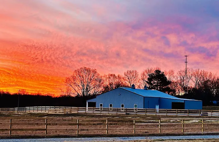 Full Circle Equine Veterinary Services 12
