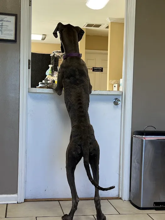 Snowden Grove Animal Hospital 5
