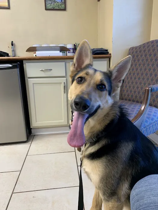 Snowden Grove Animal Hospital 2