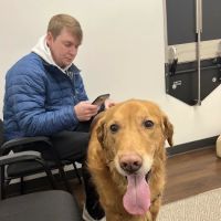 Bluff City Veterinary Specialists ico