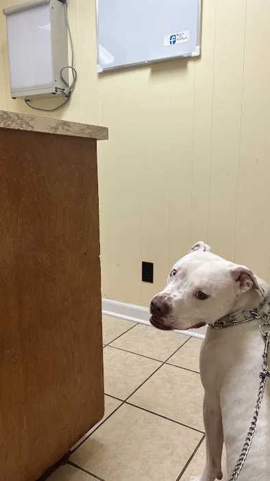 Woods Animal Hospital 2