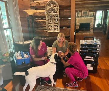 Vets Off Leash - Mobile Veterinary Clinic