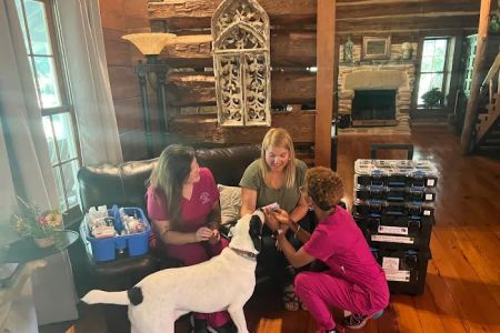 Vets Off Leash - Mobile Veterinary Clinic