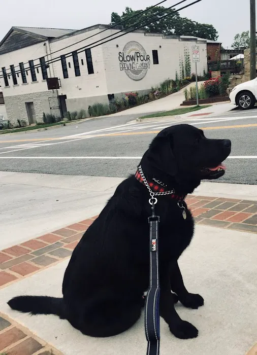 Animal Hospital of North Gwinnett 2