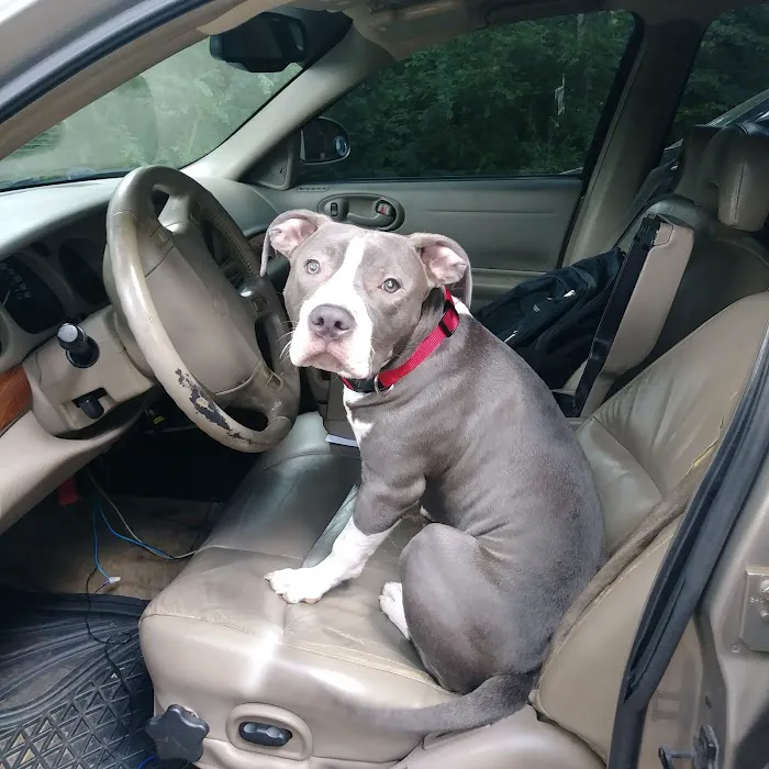Animal Hospital of North Gwinnett 8