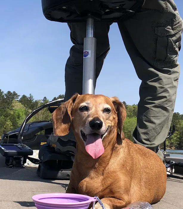 Animal Hospital of North Gwinnett 3