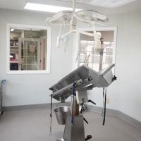 Sugar Hill Animal Hospital ico