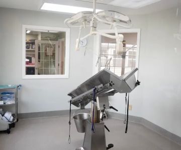 Sugar Hill Animal Hospital