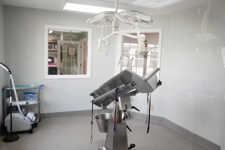 Sugar Hill Animal Hospital