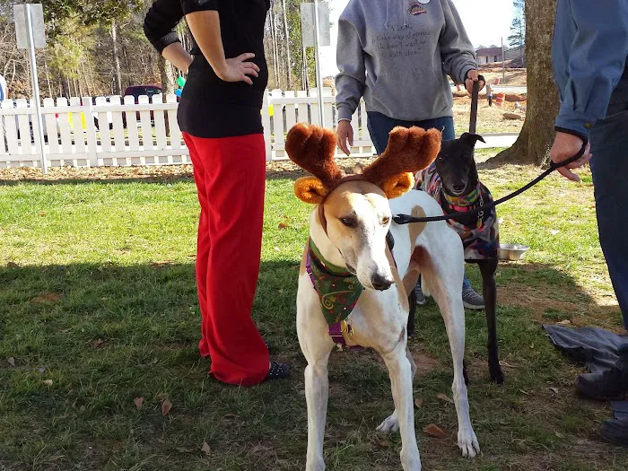 Sugar Hill Animal Hospital 9