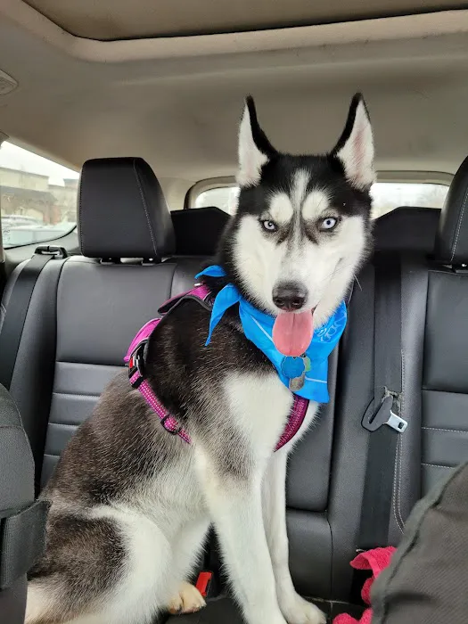 Total Veterinary Care - Buford 12