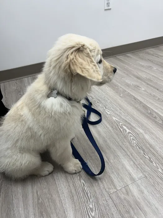 Total Veterinary Care - Buford 12