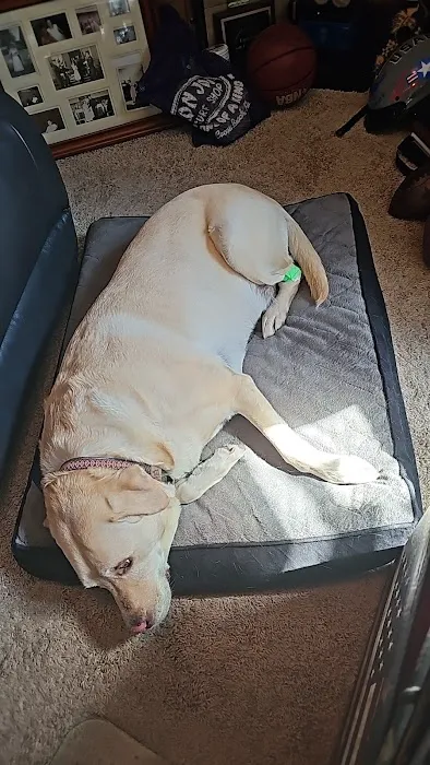 Banfield Pet Hospital 12