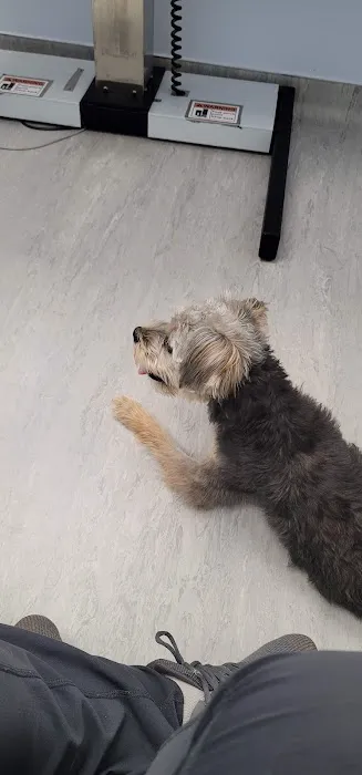 My Pet's Vet Buford 2