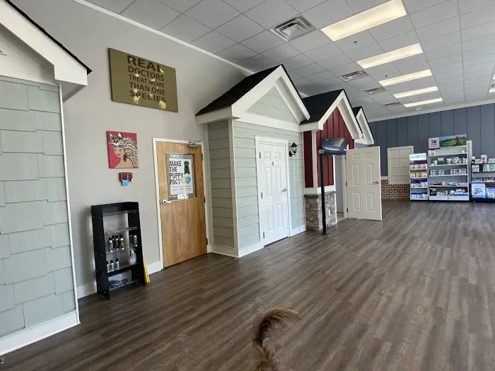 My Pet's Vet Buford 6