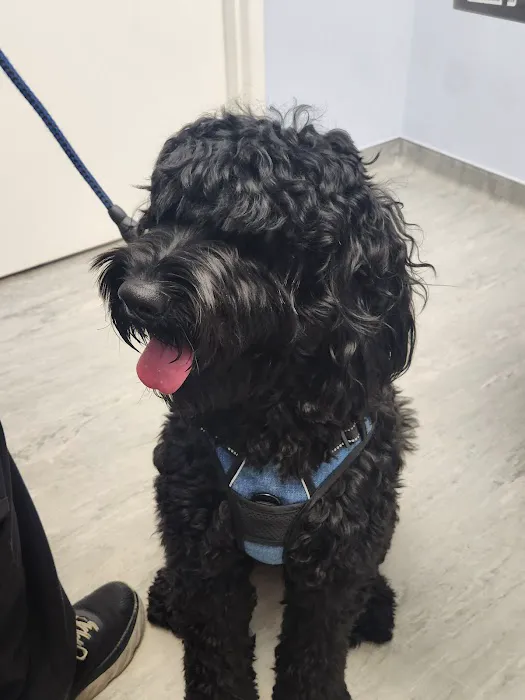 My Pet's Vet Buford 5