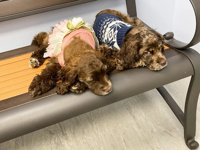My Pet's Vet Buford 7