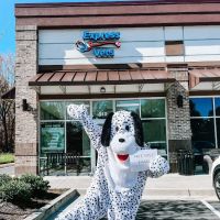 Express Vets Buford ico