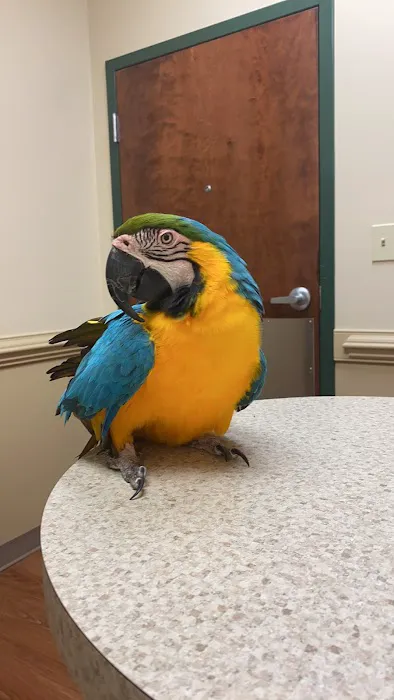 Lanier Animal Hospital 3