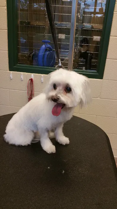 Lanier Animal Hospital 10