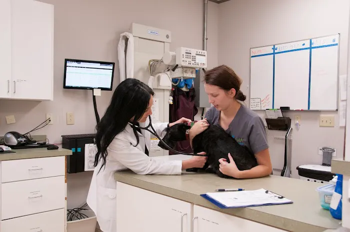 Hamilton Ridge Animal Hospital 4