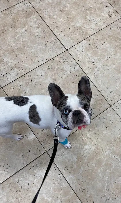 Hamilton Ridge Animal Hospital 3