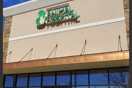 Hamilton Ridge Animal Hospital