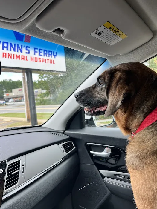 Vann's Ferry Animal Hospital 12