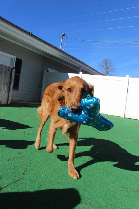 Barkfield Animal Hospital 12