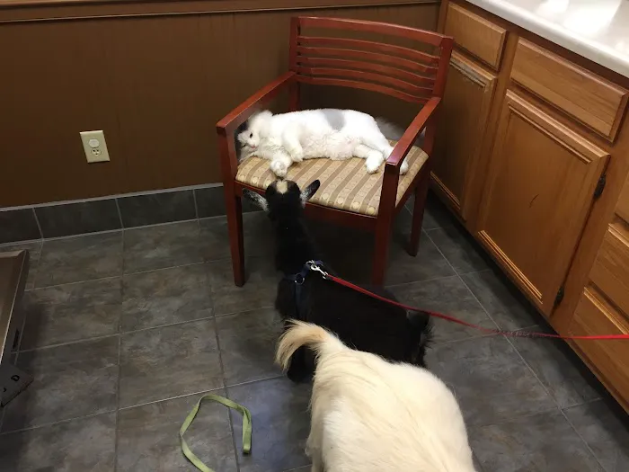 Cumming Veterinary Clinic 12