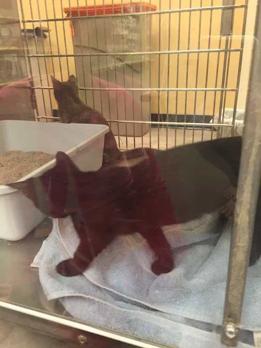 Banfield Pet Hospital 1