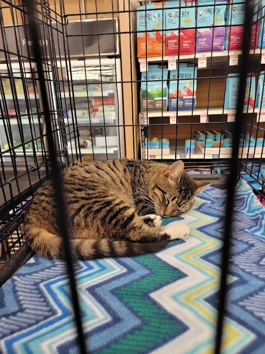 Banfield Pet Hospital 6