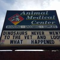 Animal Medical Center of Cumming ico