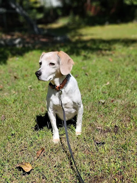 West Forsyth Animal Hospital 7