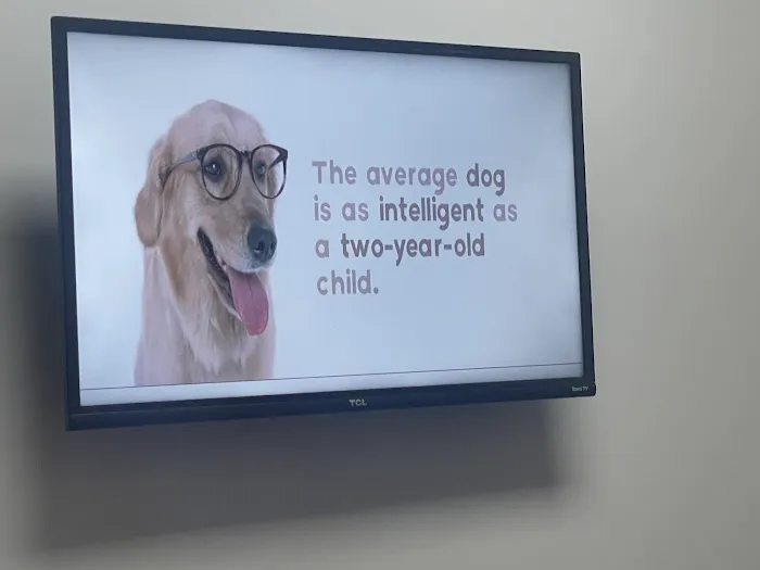 West Forsyth Animal Hospital 1