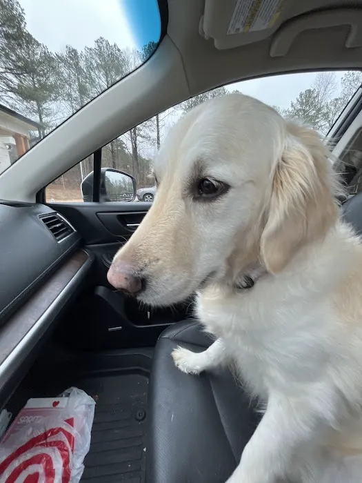 West Forsyth Animal Hospital 5